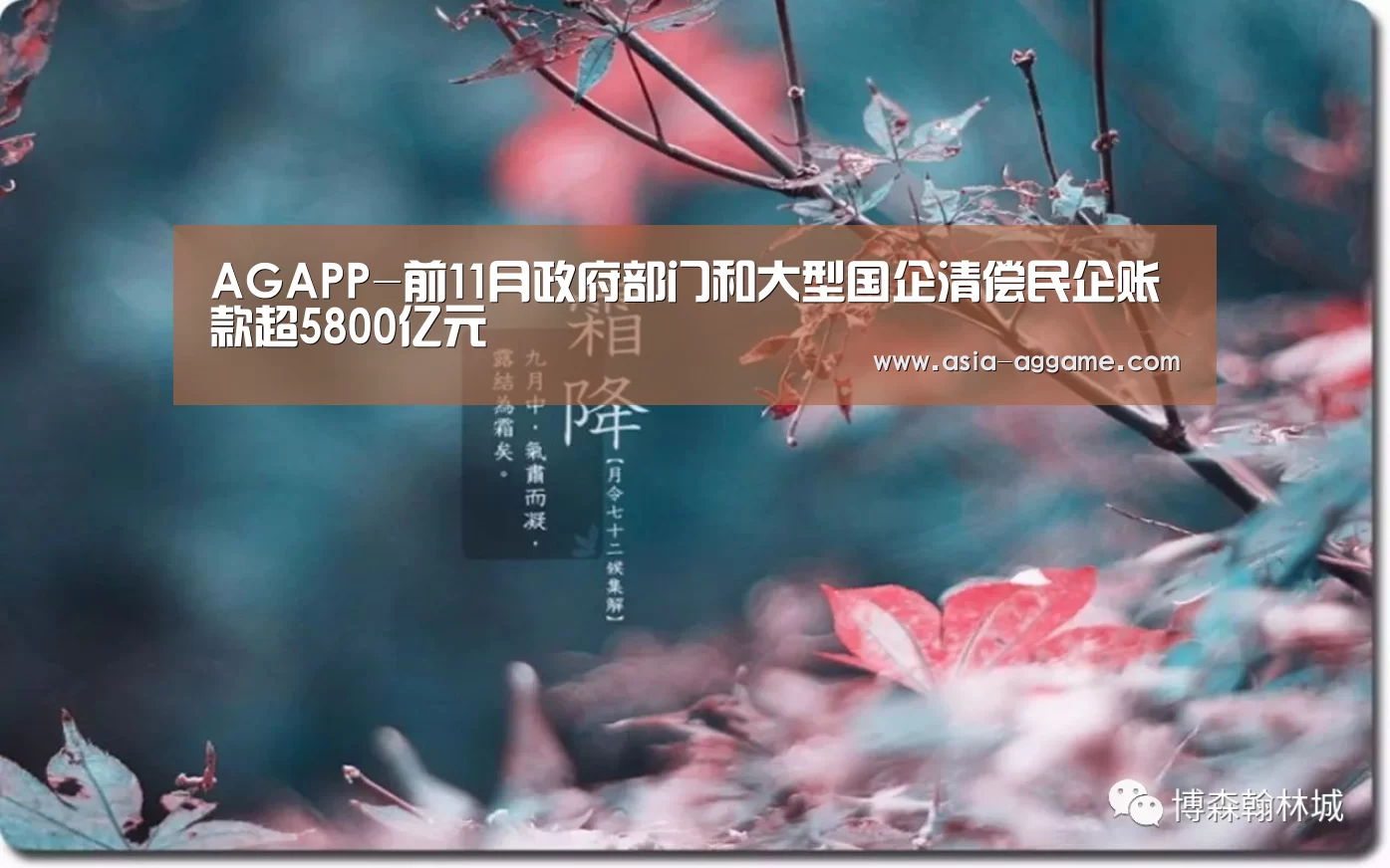 AGAPP-前11月政府部门和大型国企清偿民企账款超5800亿元(图1) AG视讯
