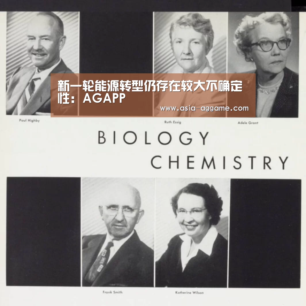 新一轮能源转型仍存在较大不确定性:AGAPP(图3) AG地址