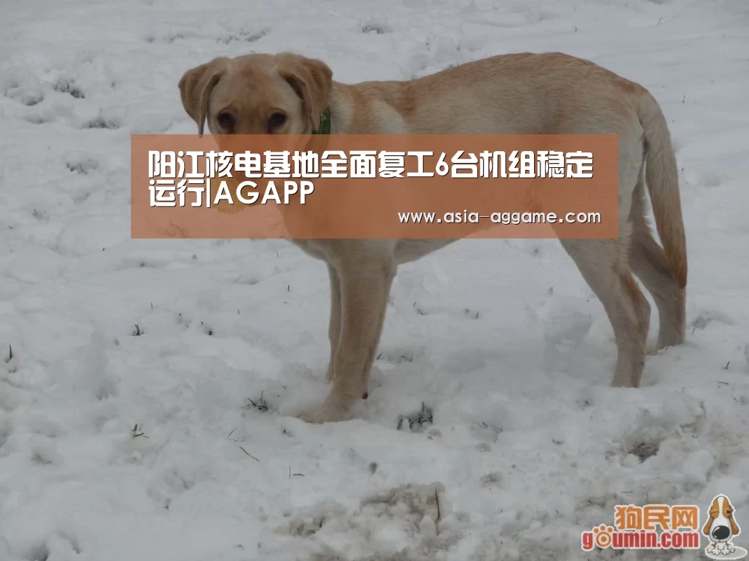 阳江核电基地全面复工6台机组稳定运行|AGAPP(图1)