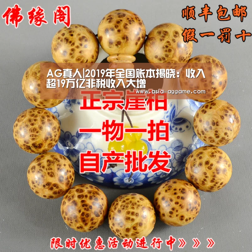 AG真人|2019年全国账本揭晓:收入超19万亿非税收入大增(图4) AG真人