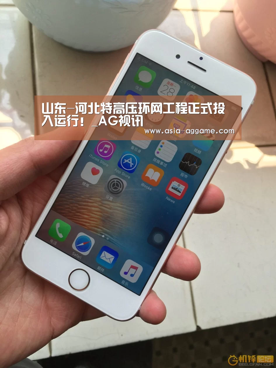 山东-河北特高压环网工程正式投入运行!_AG视讯(图1) AG真人