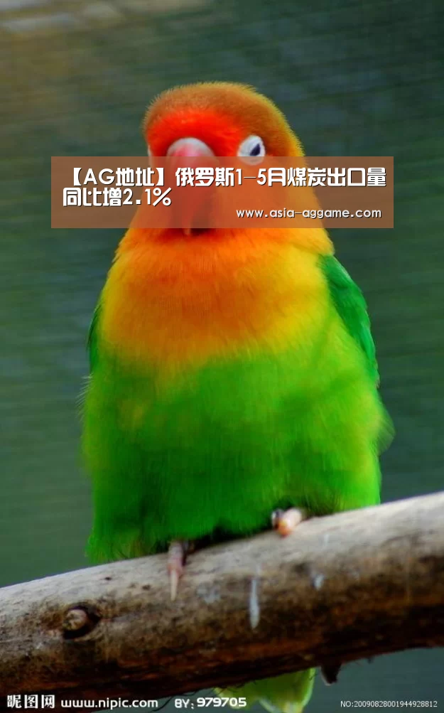 【AG地址】俄罗斯1-5月煤炭出口量同比增2.1%(图1) AG真人