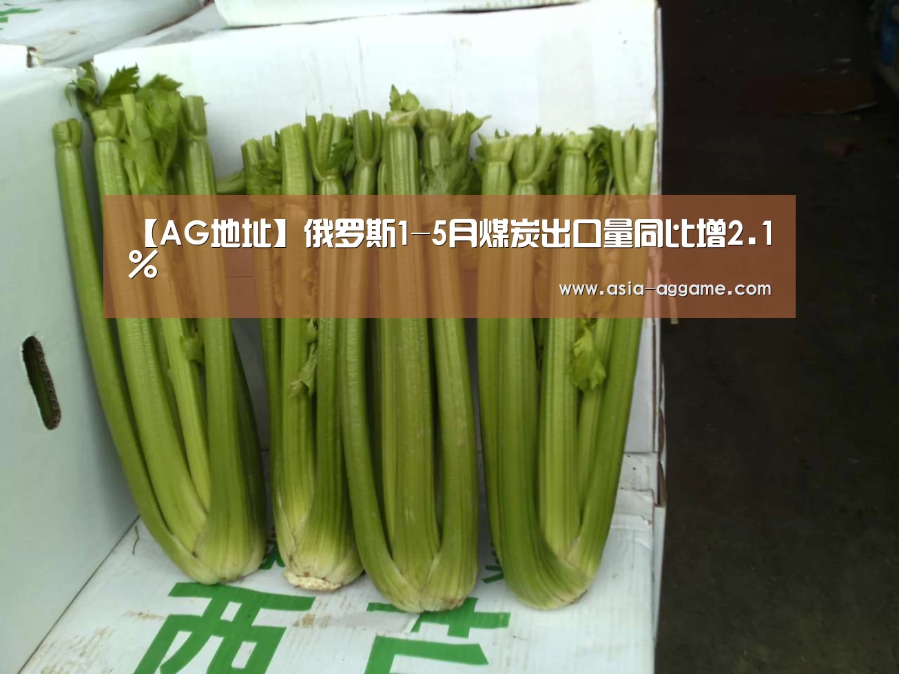 【AG地址】俄罗斯1-5月煤炭出口量同比增2.1%(图2) AG地址