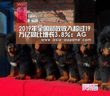 2019年全国财政收入超过19万亿同比增长3.8%:AG地址(图3) AG真人