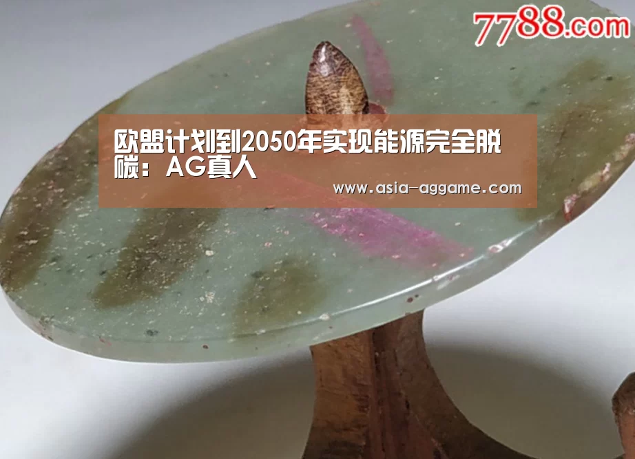 欧盟计划到2050年实现能源完全脱碳:AG真人(图1) AG地址