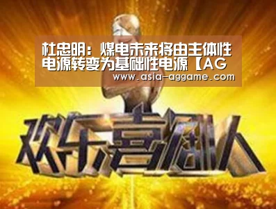 杜忠明:煤电未来将由主体性电源转变为基础性电源【AG真人】(图2) AG地址